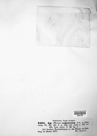 Image Associated With the Occurence
